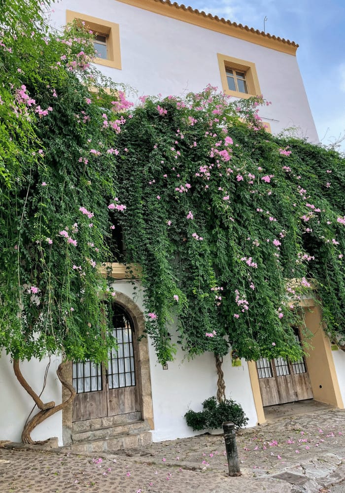 Pretty Spanish town house with ivy and flowers growing on the front.